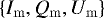 $\left\{I_{\mathrm{m}},Q_{\mathrm{m}},U_{\mathrm{m}}\right\}$