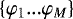 $\left\{ \varphi_{1}...\varphi_{M}\right\} $