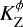 $K^{\phi}_{\rm{Z}}$