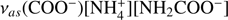 $ {\nu }_{{as}}({\mathrm{COO}}^{-})[{\mathrm{NH}}_4^{+}][{\mathrm{NH}}_2{\mathrm{COO}}^{-}]$