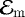 $\mathcal{E}_{\mathrm{m}}$