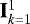 $\mathbf{I}^1_{k=1}$