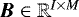 $\vec{B}\in \mathbb{R}^{I \times M}$