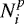 $N^p_{i}$