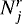 $N^r_{j}$