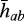 $\bar{h}_{ab}$