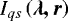 $ I_{qs} \left ( \vec{\lambda, r} \right )$