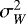 $\sigma_{W}^2$