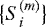 $\bigl\{S_i^{(m)}\bigr\}$