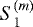 $S_{1}^{(m)}$