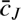 $ {\overline c}_J $