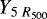 $Y_{{5\; R_{500}}}$