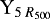 $\mathrm{Y}_{5\; R_{500}}$