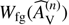 $ W_\text{fg}{(\widehat A_V^{(n)})} $