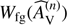 $ W_\text{fg}{(\widehat A_V^{(n)})} $