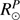 $ R^{P}_{\odot } $