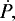 $\dot{P,}$