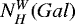 $N_H^{W}(Gal)$