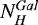 $N_H^{Gal}$