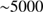 $ \,{\sim }5000 $