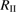$ R_{\mathrm{II}} $