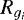 $R_{g_i}$