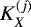 $K_X^{(j)}$