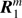 $ \boldsymbol R_1^\mathrm m $
