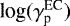 $\textrm{log}(\gamma^{\textrm{EC}}_{\textrm{p}})$