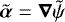 $\tilde{\boldsymbol{\alpha}} = \boldsymbol{\nabla} \tilde{\psi}$