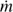 $\dot m$