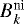 $B_k^{\textrm{ni}}$