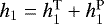 $h_1=h_1^{\text{T}}&#x002B;h_1^{\text{P}}$