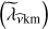 $ \left({\widetilde\lambda}_{{\widehat\nu}\mathrm{km}}\right) $