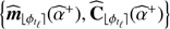 $ \left\{ {{{\widehat {\boldsymbol{m}}}_{\lfloor{\phi _{{t_\ell }}\rfloor}}}({{\widehat \alpha }^ + }),{{\widehat C}_{\lfloor{\phi _t}_{_\ell }\rfloor}}({{\widehat \alpha }^ + })} \right\} $