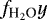 $f_{\textrm{H}_2\textrm{O}}y$