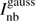 $ I_{\text{nb}}^{\text{gauss}} $