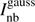 $ I_{\text{nb}}^{\text{gauss}} $
