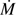 $ \dot{M} $