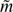 $ \tilde{m} $