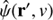 $\hat \psi ({\bf{r'}},v)$