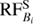 $${\rm{RF}}_{{B_i}}^{\rm{S}}$$