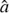 $ \hat{a} $