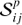 $ \mathcal S_{ij}^p $