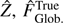 $ \hat{Z},\hat{F}_{\text{Glob.}}^{\text{True}} $