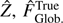 $ \hat{Z},\hat{F}_{\text{Glob.}}^{\text{True}} $