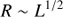 $$ \begin{aligned} R \sim L^{1/2} \end{aligned} $$