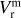 $$V_{\rm{r}}^{\rm{m}}$$