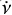 $ \dot{\nu} $