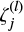 $\zeta_j^{(l)}$